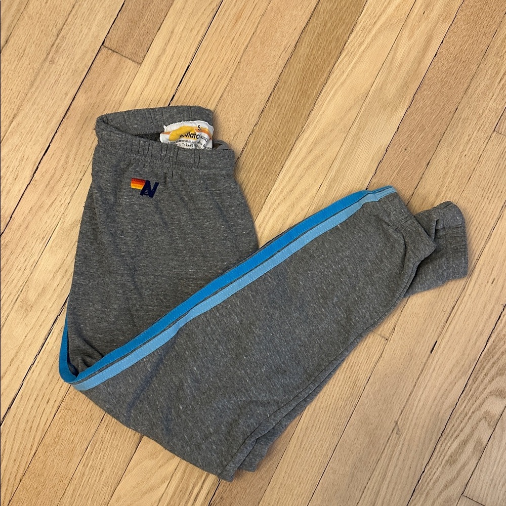 Aviator Nation Gray Track Joggers & Zip Hoodie with Blue Stripe Accents - Picture 2 of 8